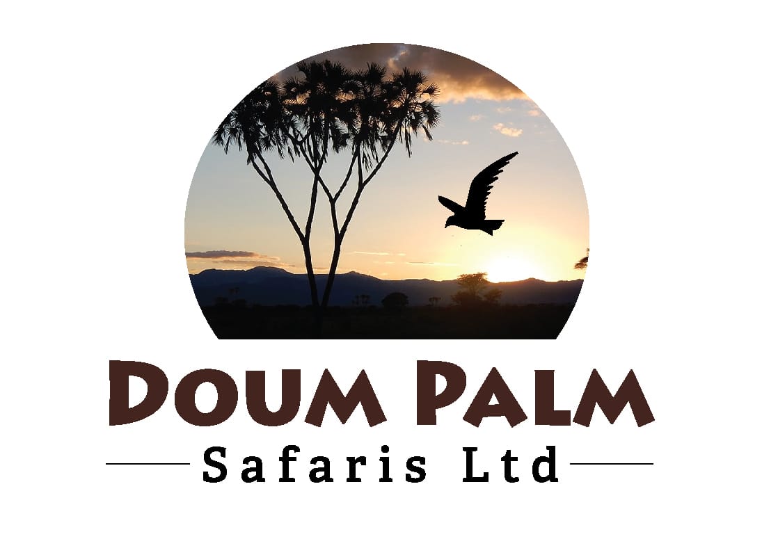 Doum Palm Safaris